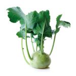 Kohlrabi