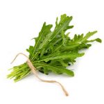 Rucola